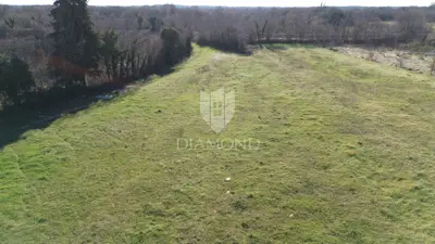 Agricultural land, Svetvinčenat - urbanization edge and asphalt access