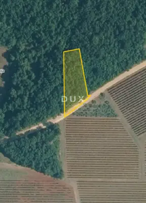 ISTRA, VIŠNJAN - Agricultural land - 2