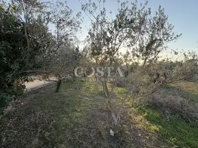 Building plot 888 m², Sukošan - 2nd row to the sea - 5