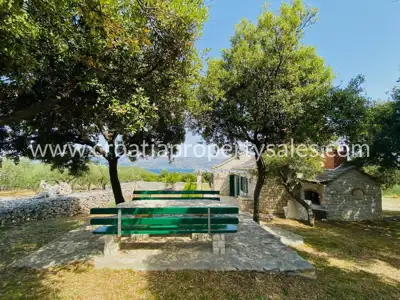 Stone house, Otok Brač, sea and olive grove view - 8