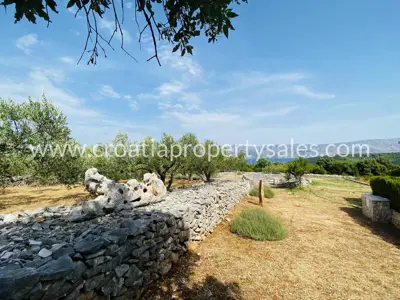 Stone house, Otok Brač, sea and olive grove view - 3