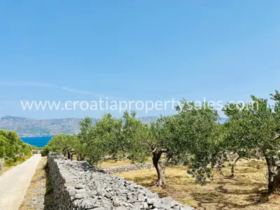 Stone house, Otok Brač, sea and olive grove view - 16