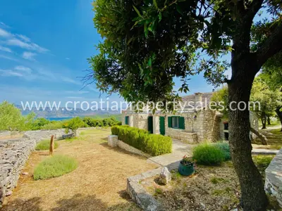 Stone house, Otok Brač, sea and olive grove view