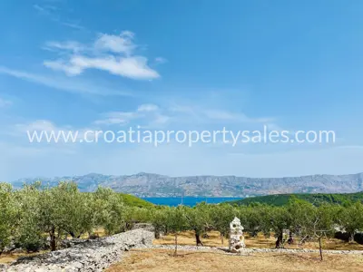 Stone house, Otok Brač, sea and olive grove view - 9