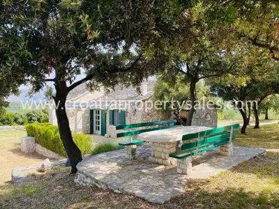 Stone house, Otok Brač, sea and olive grove view - 7