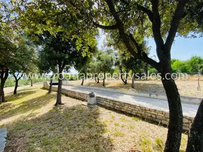 Stone house, Otok Brač, sea and olive grove view - 6