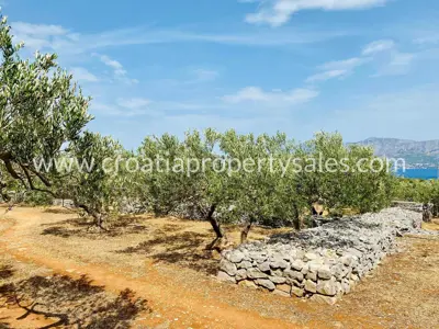 Stone house, Otok Brač, sea and olive grove view - 10