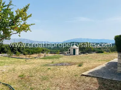 Stone house, Otok Brač, sea and olive grove view - 2