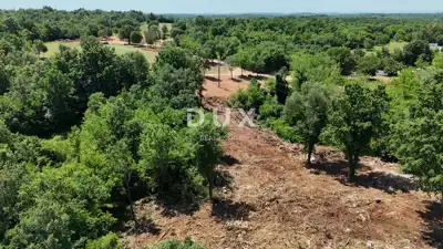Građevinsko zemljište 2.066 m², Baderna - investicijski potencijal - 3