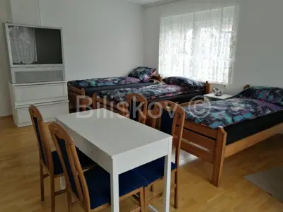 Kuća 260 m², Ivanić-Grad, 20 min od Zagreba - 3