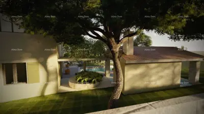 Haus mit Pool, Svetvinčenat, 40 m² Pool und Hof - 2