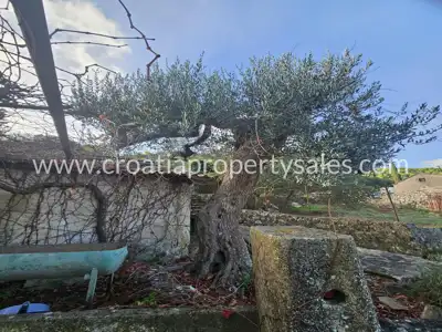 Seosko imanje 884 m², Otok Hvar - miran kraj sela - 5