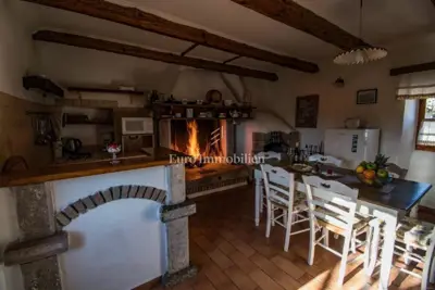 Schön adaptiertes freistehendes Steinhaus - 10