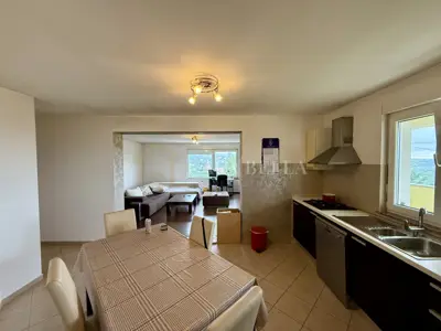 Haus 435 m², Kastav Brnčići - Gewerberaum und Gartenanlage - 9