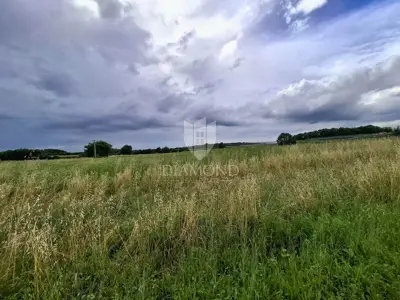 Landwirtschaftsfläche 24.118 m², Kaštelir - Investition - 4