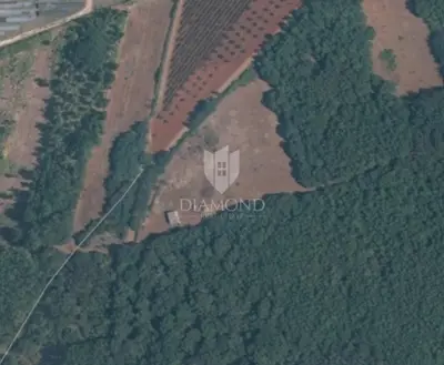 Agricultural land 24,118 m², Kaštelir - investment