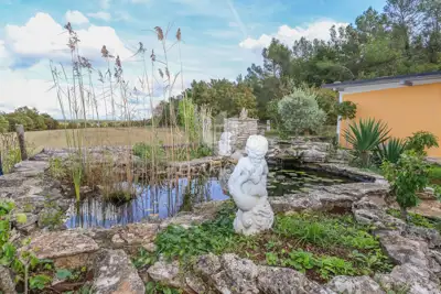 Rovinj, surroundings, charming stone house - 10