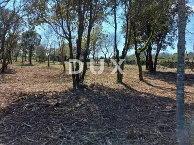 Agricultural land, Rakalj - top location near beaches - 7