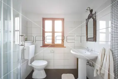 Stone house 175 m², Filipana - peaceful surroundings and privacy - 18