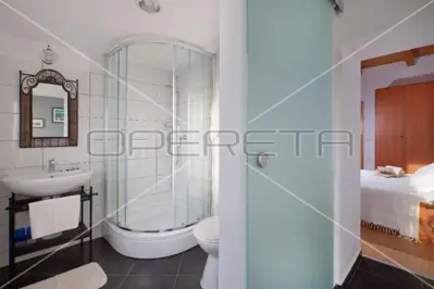 Stone house 175 m², Filipana - peaceful surroundings and privacy - 13