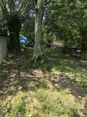 Kamena kuća, Prodol, Marčana, okućnica 300 m² i mirna lokacija - 2