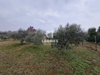 Građevinsko zemljište 3 180 m², Umag, okolica grada