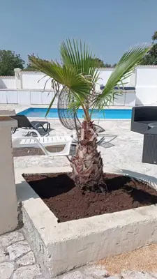 Doppelhaus 150 m², Marčana - ruhige Lage und Aussicht - 17