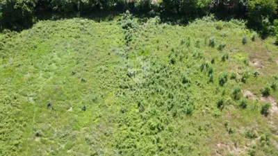Građevinsko zemljište 906 m², Poreč - projekt i dozvola - 3
