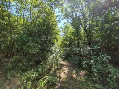 Agricultural land 4,535 m², Labin - quiet location - 2