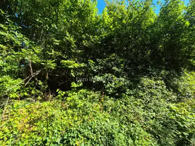 Agricultural land 4,535 m², Labin - quiet location - 3