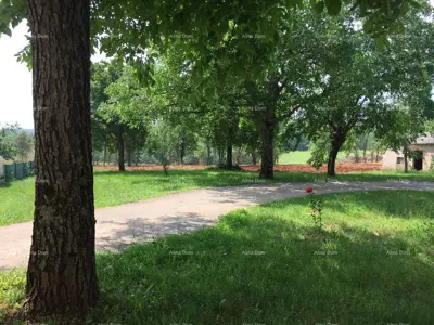 Građevinsko zemljište 48 000 m², Poreč - blizina mora i centra