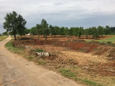 Građevinsko zemljište 48 000 m², Poreč - blizina mora i centra - 2