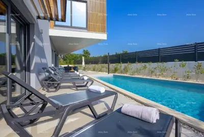 Villa in Svetvinčenat, private pool and garden view - 10