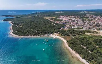 Haus mit drei separaten Wohnungen und Olivenhain, nur 500 m vom Meer entfernt
