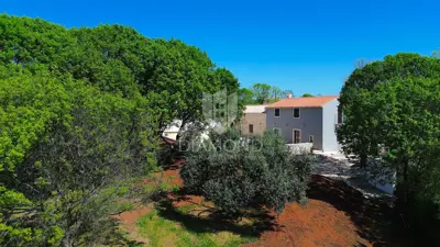 Kuća 165 m², Barban - imanje na osami i okućnica 1.452 m² - 6