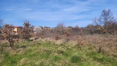 Land 8 500 m², Kosinožići near Poreč - sea view - 8