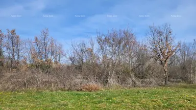 Land 8 500 m², Kosinožići near Poreč - sea view - 5