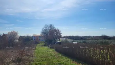 Zemljište 8 500 m², Kosinožići kraj Poreča - pogled na more