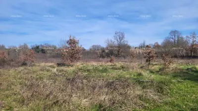 Land 8 500 m², Kosinožići near Poreč - sea view - 7
