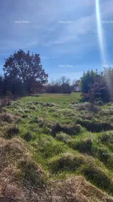 Land 8 500 m², Kosinožići near Poreč - sea view - 3