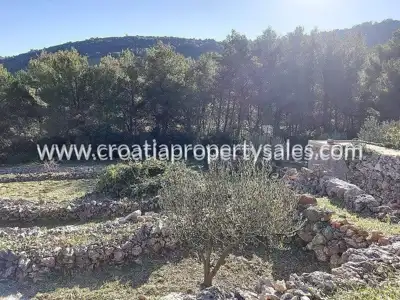 Agricultural land 2,809 m², Vis Island, south orientation - 3