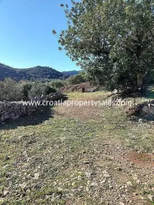 Agricultural land 2,809 m², Vis Island, south orientation - 5