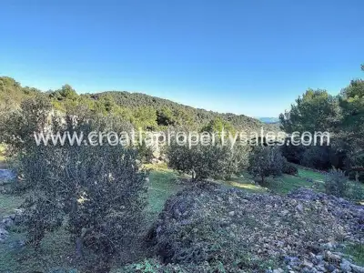 Agricultural land 2,809 m², Vis Island, south orientation