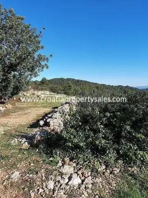Agricultural land 2,809 m², Vis Island, south orientation - 8