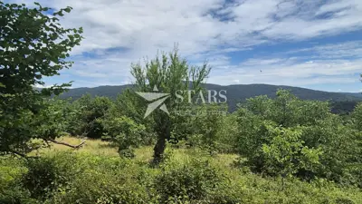 Agricultural land 1,079 m², Plemenitaš - peaceful nature - 6
