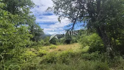Agricultural land 1,079 m², Plemenitaš - peaceful nature - 3
