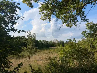 Poljoprivredno zemljište 8.730 m², Poreč - ravno i osunčano