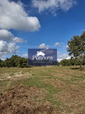 Agricultural land, Vodnjan - enclosed by a dry stone wall