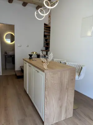 Apartment for rent in Grad, 43 m² - 6