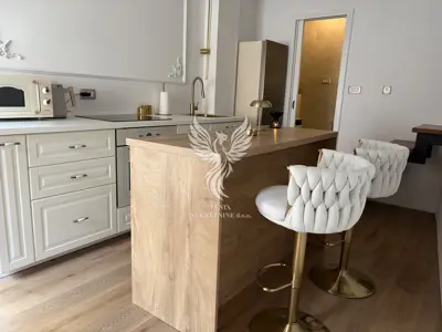 Apartment for rent in Grad, 43 m² - 11